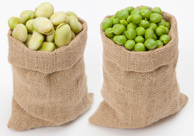 Se estiver na época de produção, prefira as variedades frescas das favas e das ervilhas.